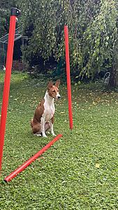 IMG_9940.jpeg